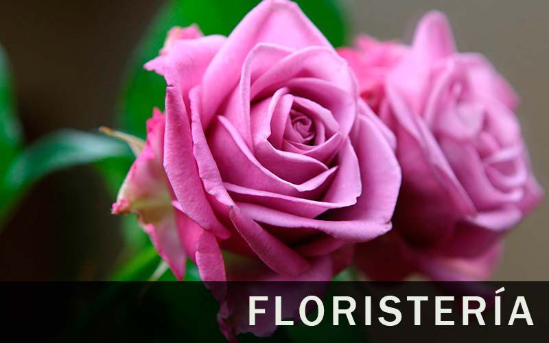 Floristería