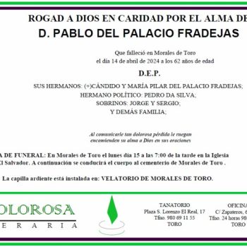 D. PABLO DEL PALACIO FRADEJAS