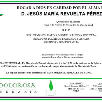 D. JESÚS MARÍA REVUELTA PÉREZ
