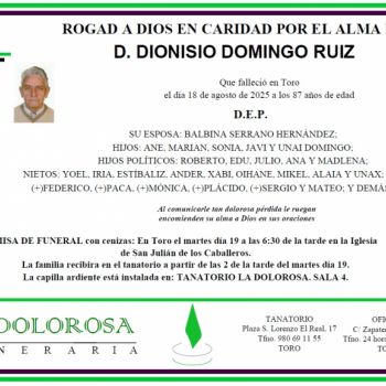 D. DIONISIO DOMINGO RUIZ