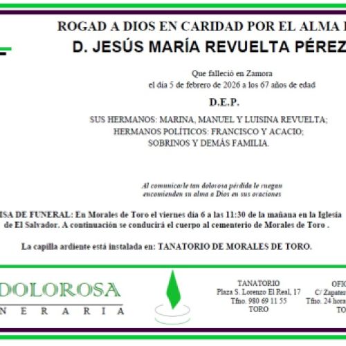 D. JESÚS MARÍA REVUELTA PÉREZ