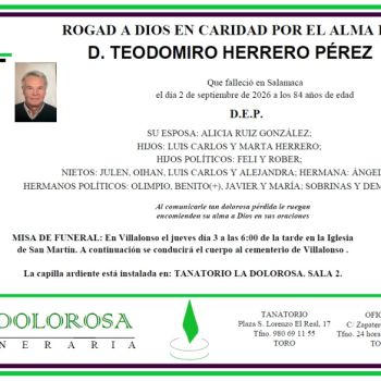 D. TEODOMIRO HERRERO PÉREZ
