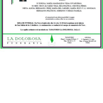 D. FRANCISCO JAVIER ÁLVAREZ GUTIÉRREZ