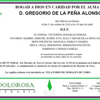 D. GREGORIO DE LA PEÑA ALONSO