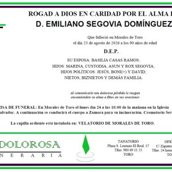 D. Emiliano Segovia Domínguez