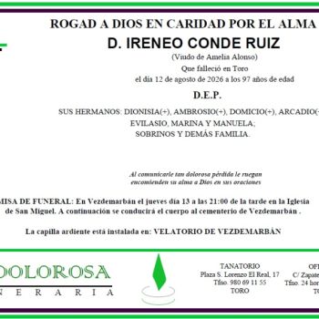 D. IRENEO CONDE RUIZ